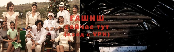 стаф Алзамай
