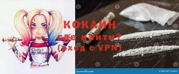 стаф Алзамай