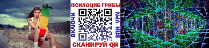 Купить где Медынь Псилоцибиновые грибы Psilocybe